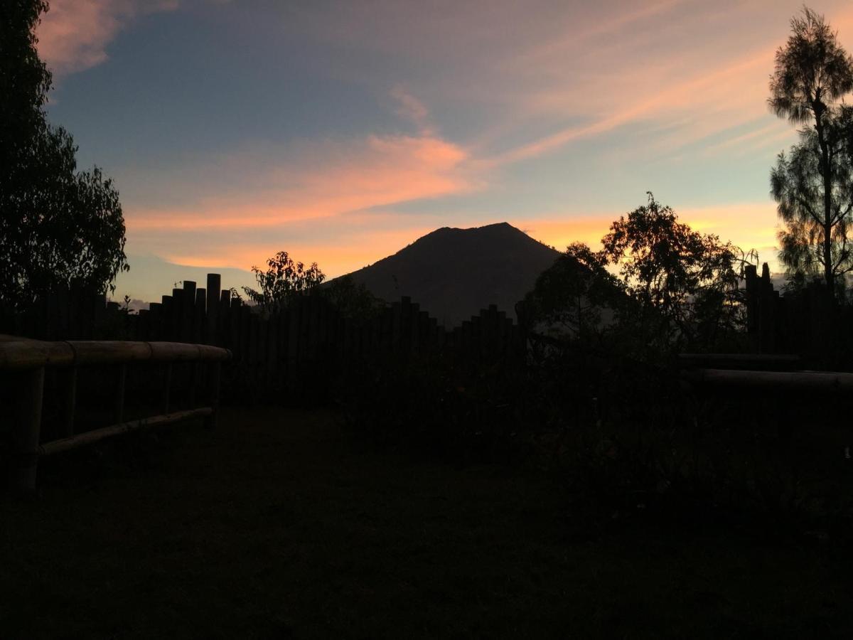 Bed and Breakfast Bunbulan Panorama Kintamani Exteriér fotografie